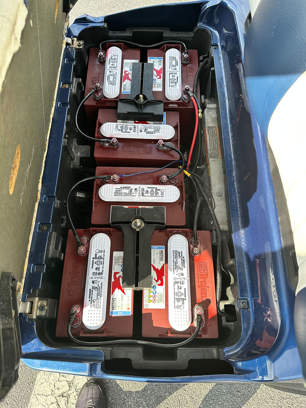 Thumbnail: 2019 Club Car Tempo Electric Blue