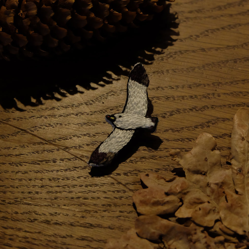 サムネイル： Black-tailed gull embroidered brooch すいーっとウミネコ刺繍ブローチ【限定】