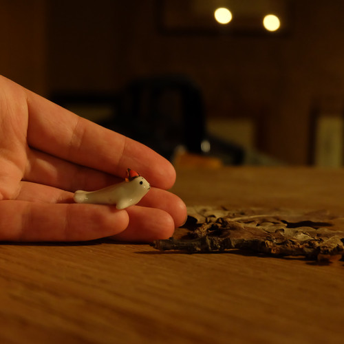 Fève フェーブ | watashi to niwa