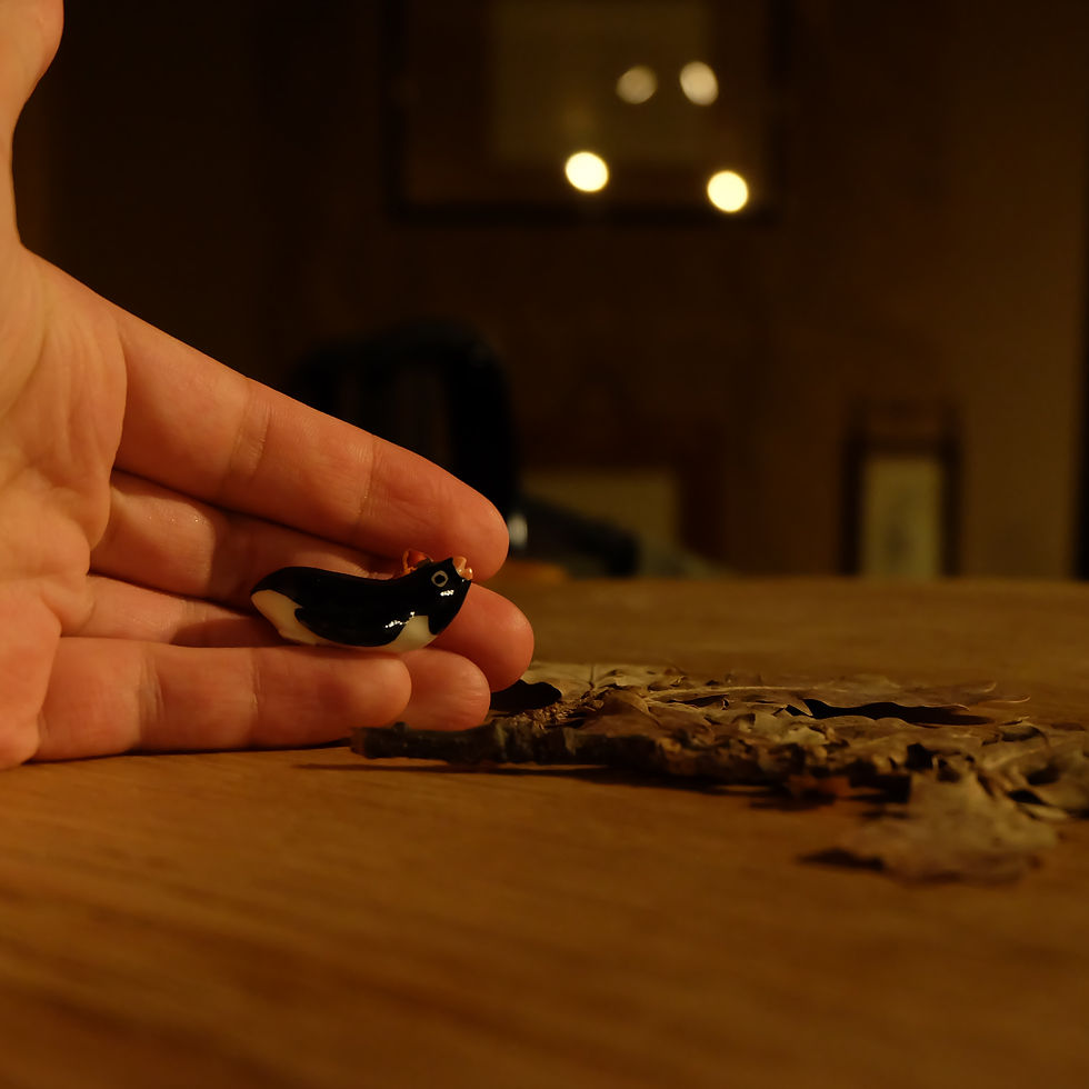 サムネイル： Fève フェーブ