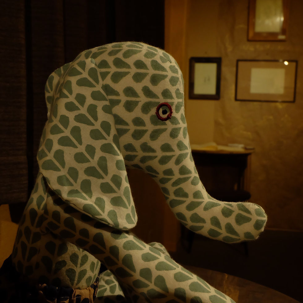サムネイル： Relaxing Elephant