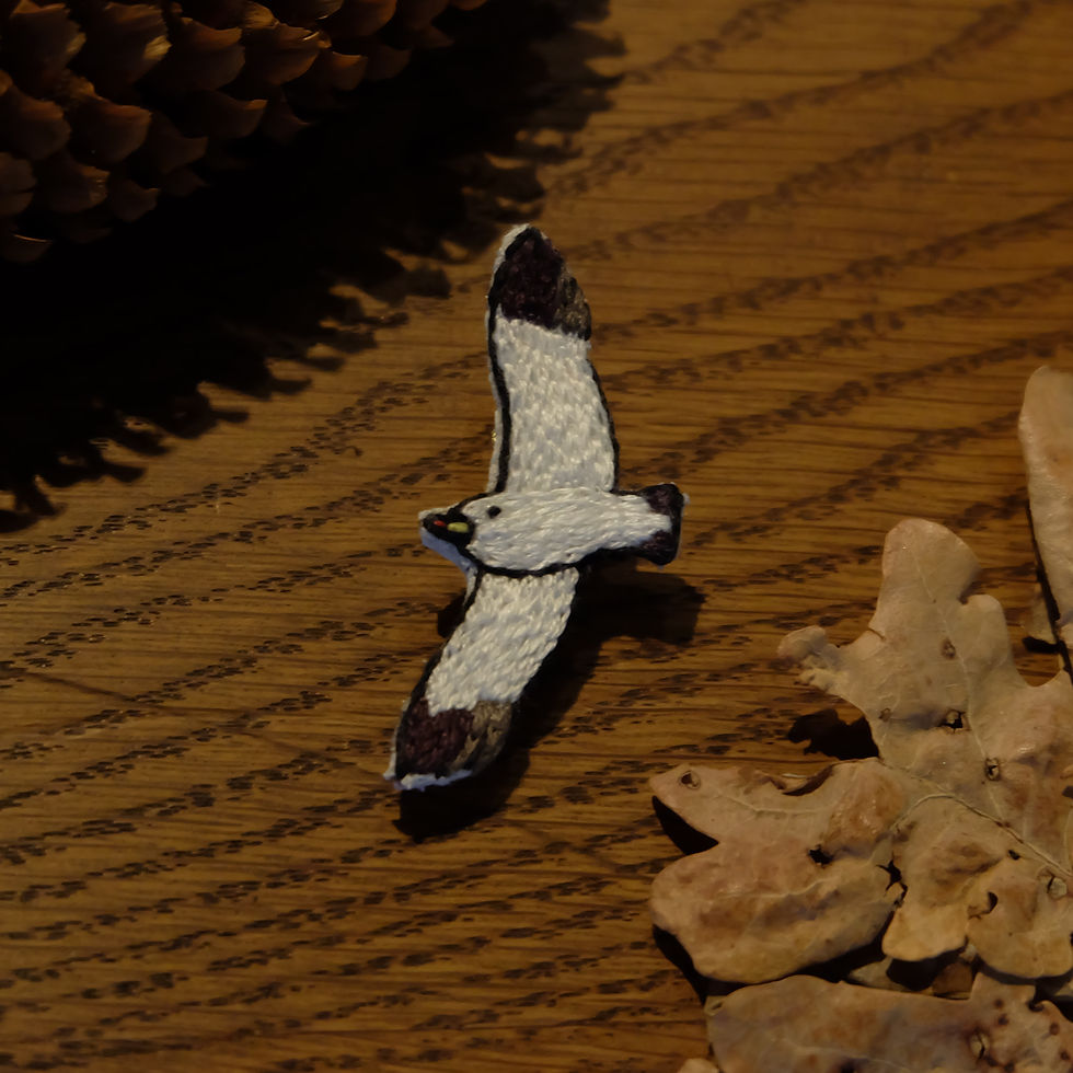 サムネイル： Black-tailed gull embroidered brooch すいーっとウミネコ刺繍ブローチ【限定】