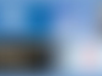 LOOK! It’s a bird! It’s a plane! Gee, what is it exactly?