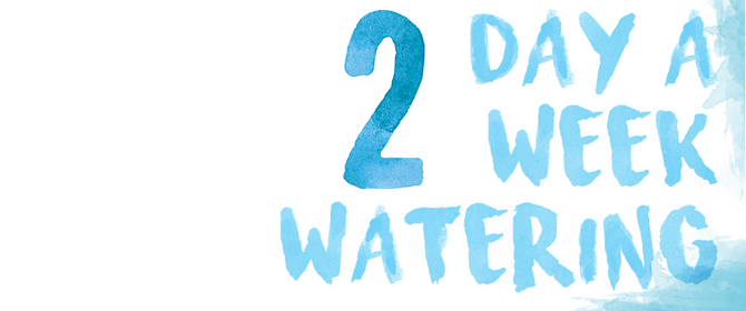 Winter Watering Schedule