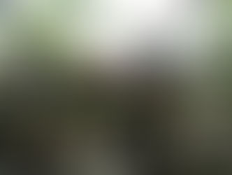 Nigeria : A new hub of atrocities