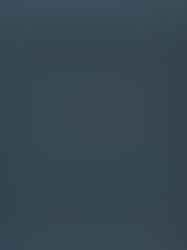 ISIS & al-Qaida Online: Dangerous Evolutions of Social Media in Terrorism & Int'l Cyber Recruitment