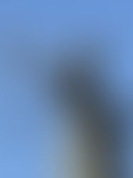 Marital Rape in India: An International Human Rights Law Violation