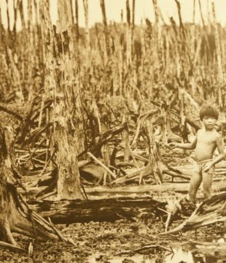 Protection of Environment in Times of Armed Conflict: From Vietnam to Geneva