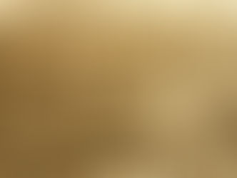 Protection of Environment in Times of Armed Conflict: From Vietnam to Geneva