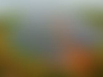 Addressing Climate Change and Displacement in Africa through Public-Private Partnerships