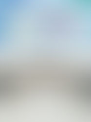 Redefining Micro-Investment Disputes Before the ICSID During COVID-19