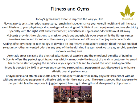 Fitness and Gyms