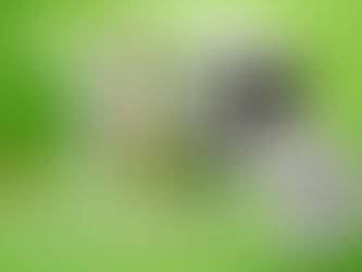 MScents New ViruShield
