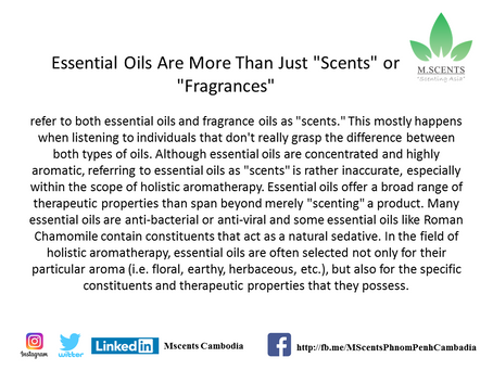 Essential Oils Are More Than Just "Scents" or "Fragrances"