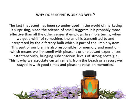 WHY DOES SCENT WORK SO WELL?