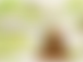 What Are Essential Oils?