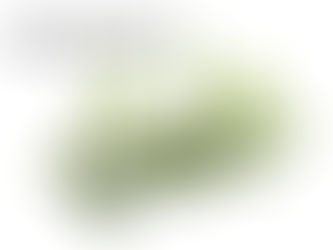 Eucalyptus