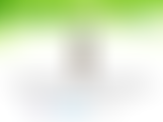Essential Oils : Lime Light