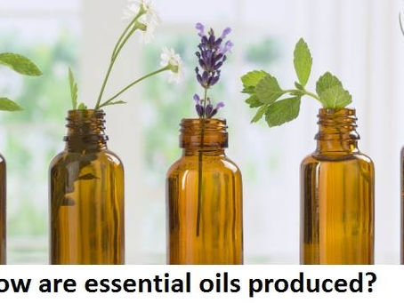 How Are Essential Oils Produced?