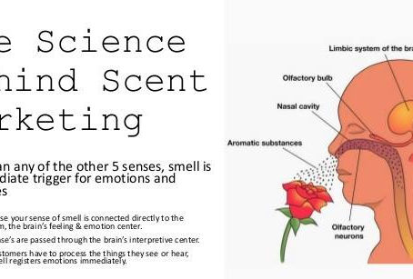 The Science Behind Scent Marketing