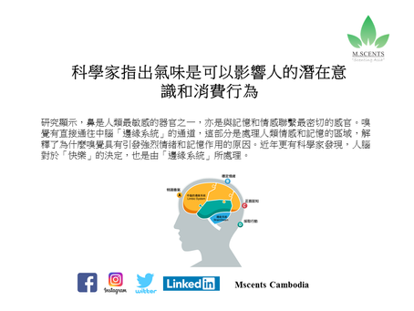 科學家指出氣味是可以影響人的潛在意識和消費行為