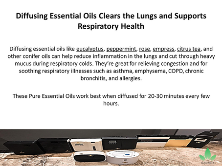 Diffusing Essential Oils Clears the Lungs and Supports Respiratory Health