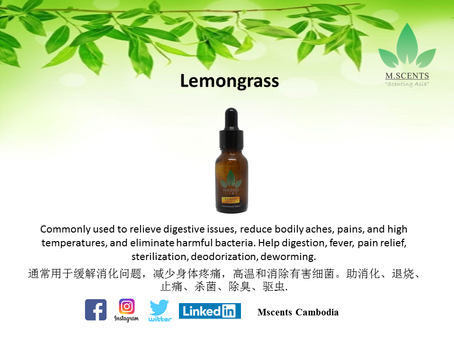 Essential Oils : Lemongrass