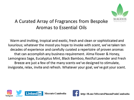 A Curated Array of Fragrances from Bespoke Aromas to Essential Oils