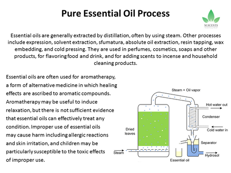 Pure Essential Oil Process