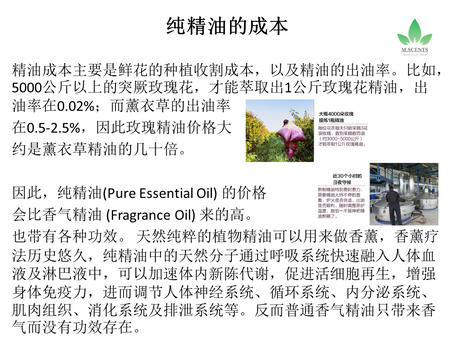 纯精油的成本