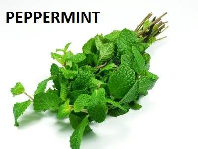 Peppermint