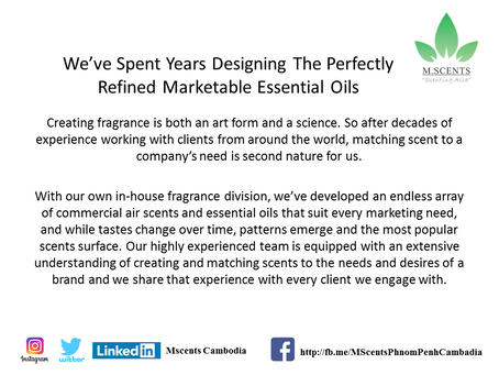 We’ve Spent Years Designing The Perfectly Refined Marketable Essential Oils