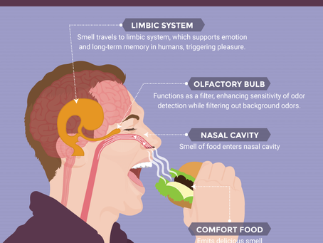 Smell Can Evoke A Posite Memory