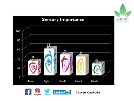Sensory Importance