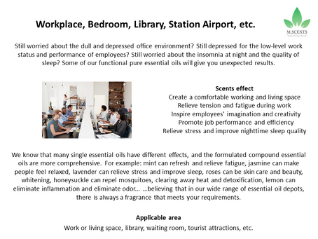 Workplace, Bedroom, Library, Station Airport, etc.