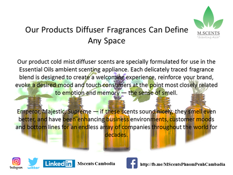 Our Products Diffuser Fragrances Can Define Any Space