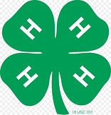 4-H clover.jpeg