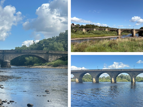 Bridges of the Tyne