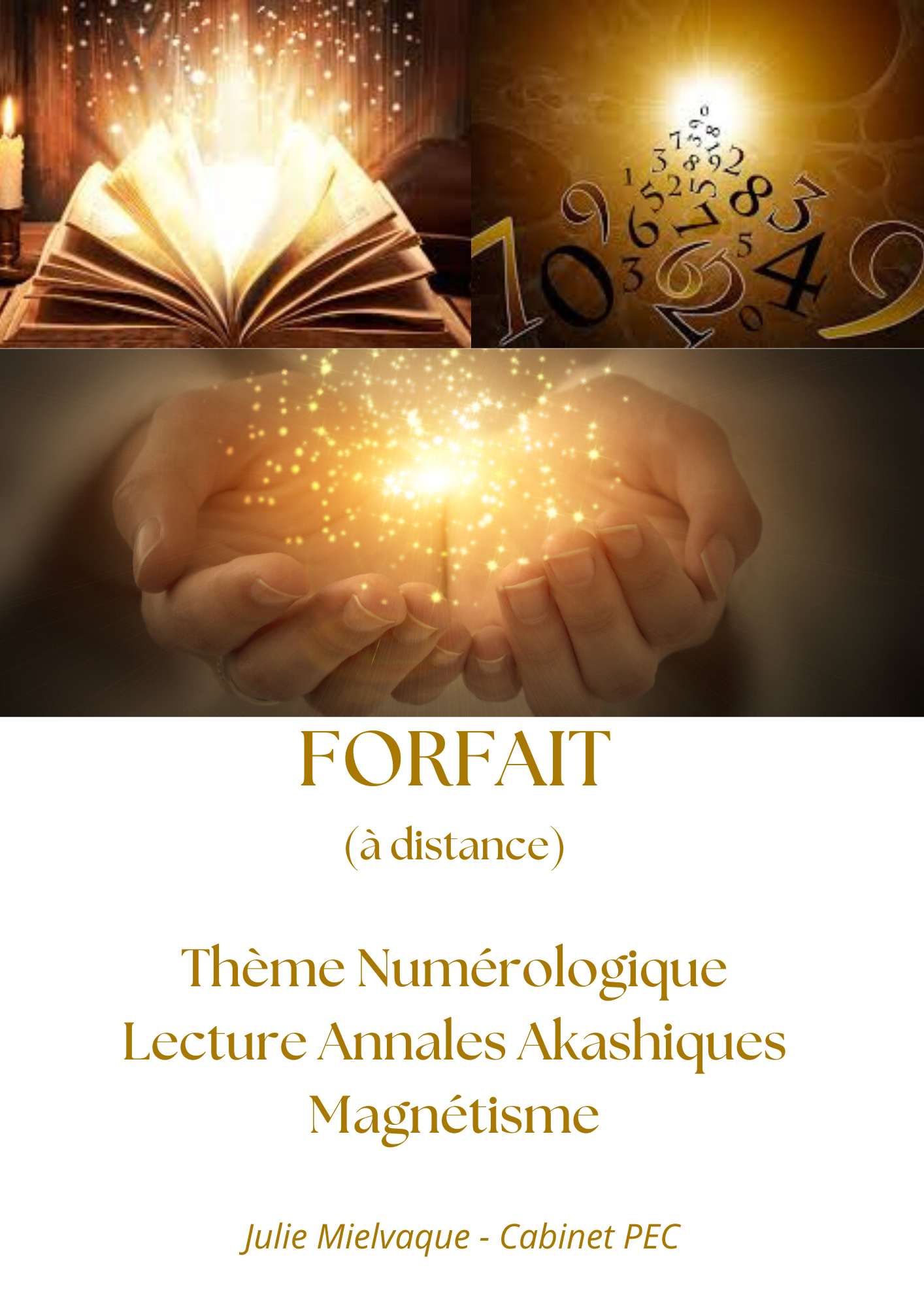 Forfait à distance Thème Num. + Lecture AA + Magnétisme