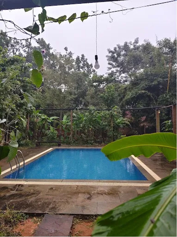 Hotel  at Bandhavgarh