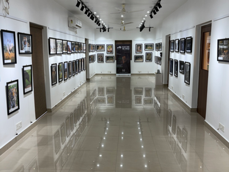 Art at Central Gallery space
where Frames From the Wild Edition 2 was held