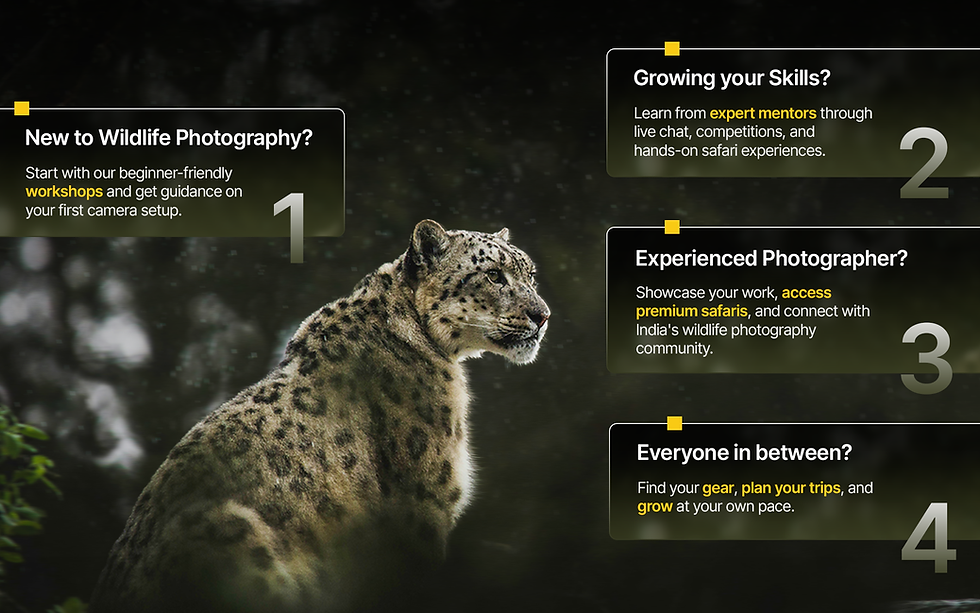 Why Wild By Nature in a visual format