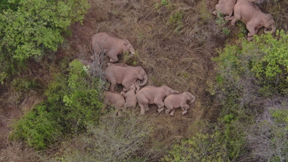 Image taken by a drone
