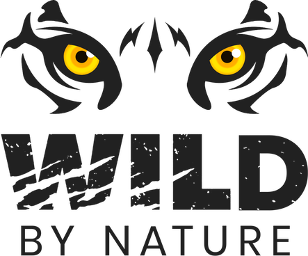 WBN Logo_Trim.png