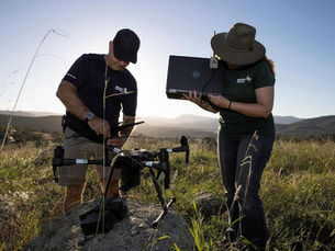 Drone Photography for Wildlife: Legal Guidelines in India | Wild by Nature