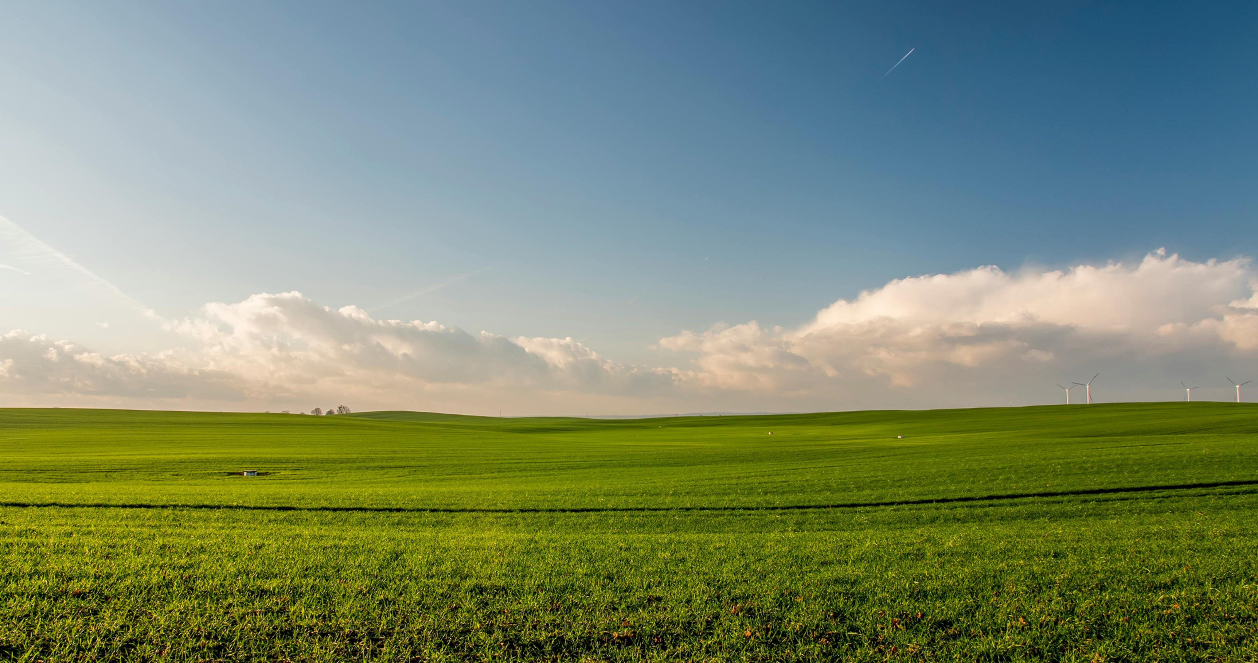 Value Dryland Pasture Seed Mix