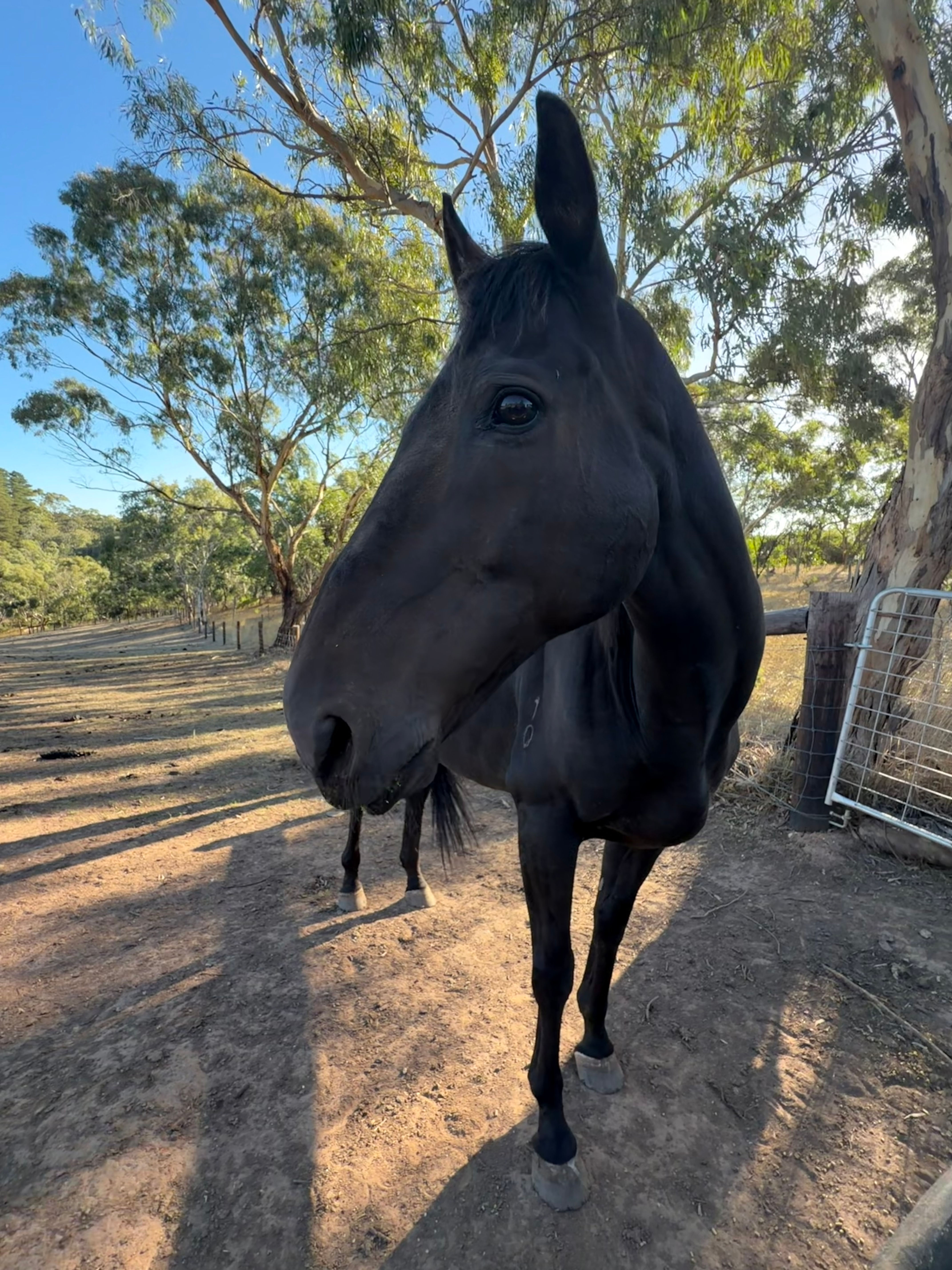 Autumn School Hols - Mon Apr 20th