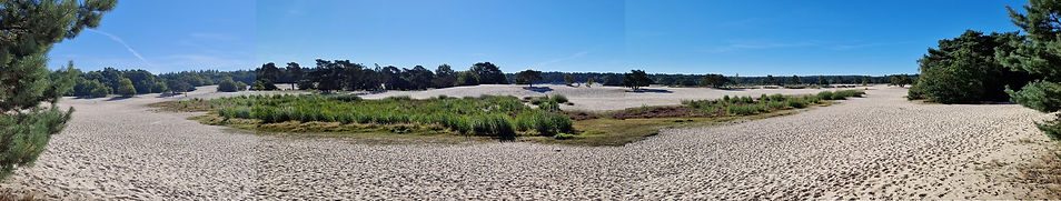 Lange Duinen panorama 2.jpg