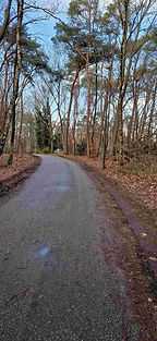 Weg de Plaggeberg op.jpg