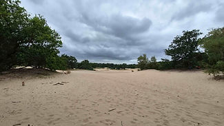 Korte Duinen.jpg